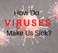 Why viruses make us sick