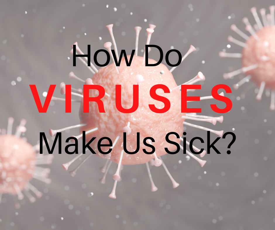Why viruses make us sick.

