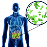 Gut Bacteria